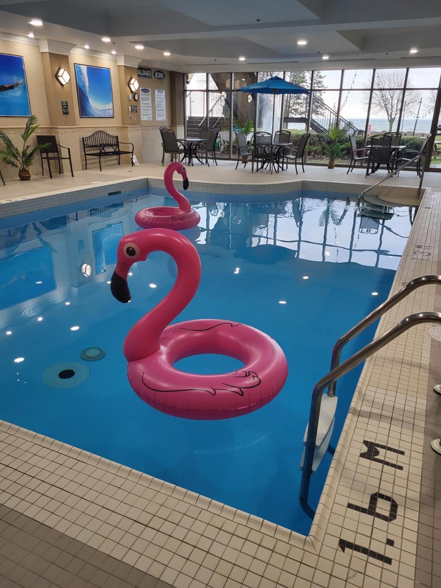 Waterfront Hotel Downtown Burlington Extérieur photo